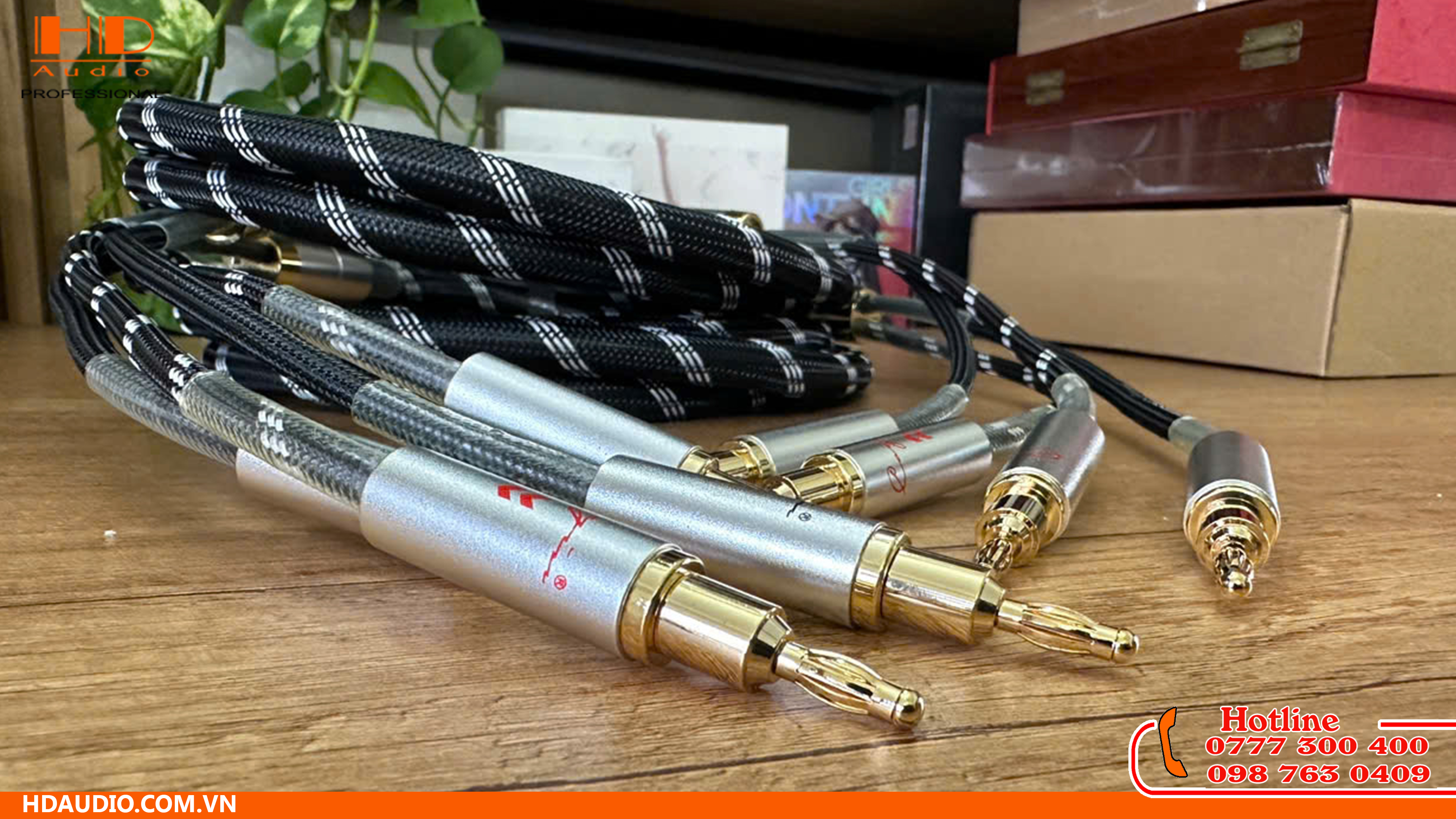 Dây loa nào cho tiếng bass hay? Top 5 sản phẩm chất lượng