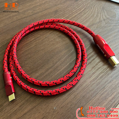 DÂY OTG ( A-TYPE C) KẾT NỐI ĐIỆN THOẠI VỚI DAC- 1M