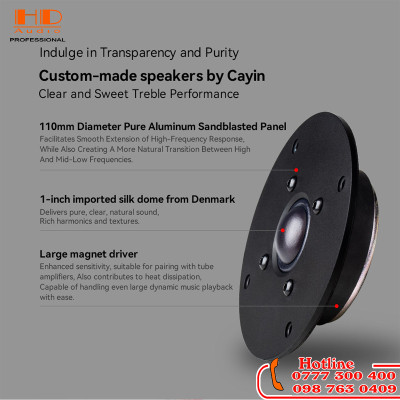 Loa CAYIN T30 MK2