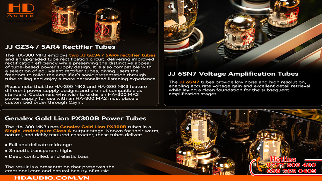 Cayin HA-300 MK3 Headphone/ Speaker  Amplifier