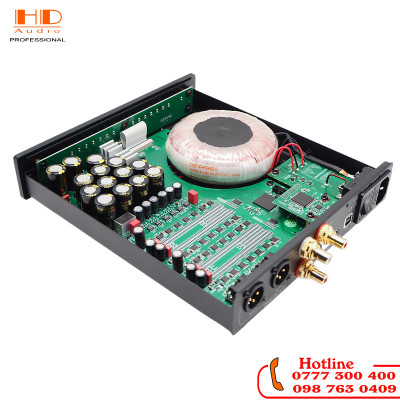 DAC DENAFRIPS ARES 12TH R2R