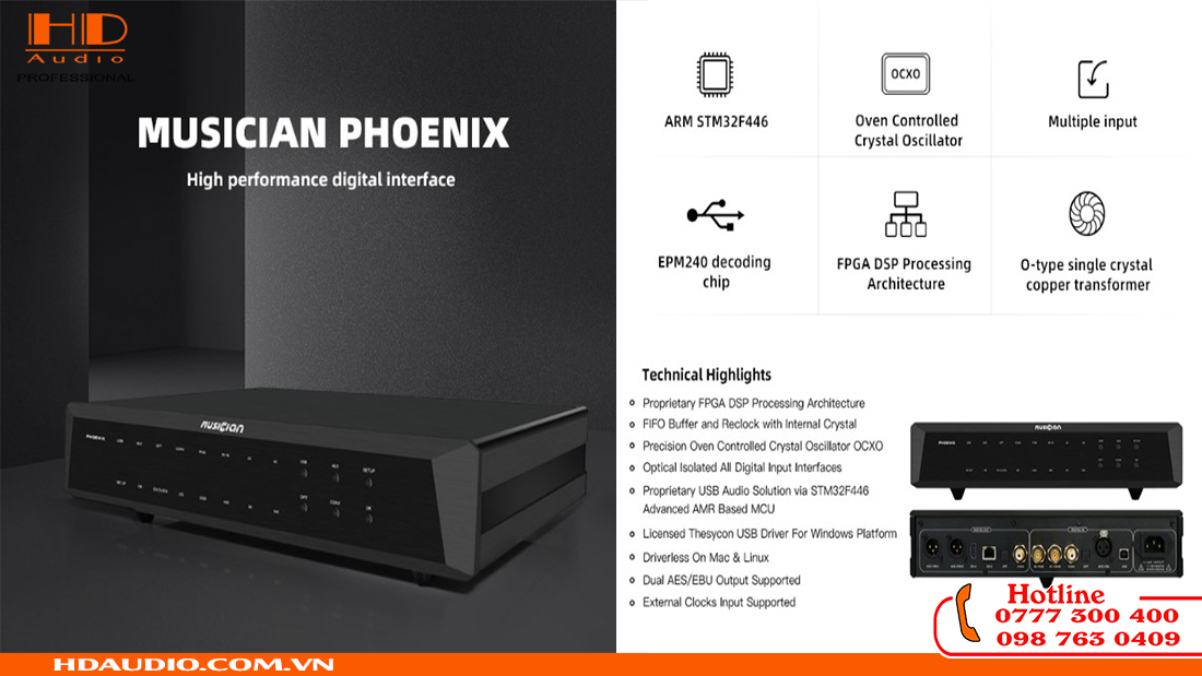 DDC MUSICIAN PHEONIX | Hàng Chính Hãng, Giảm Tới 30%