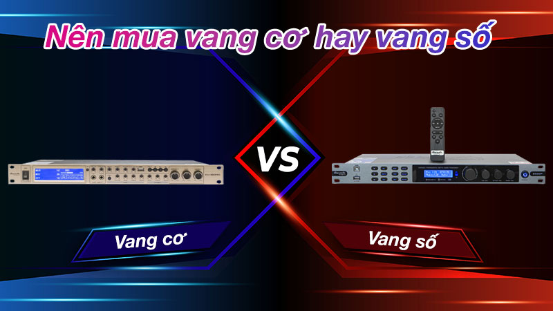 Vang là gì? Vang cơ hay vang số hay hơn?