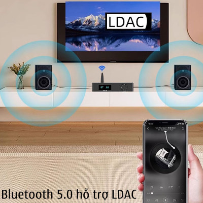 SUCA AUDIO DAC Q8 New 2024