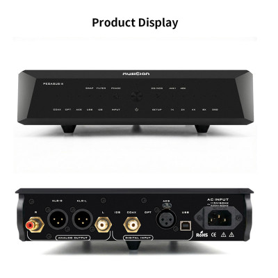 MUSICIAN PEGASUS III R2R DAC