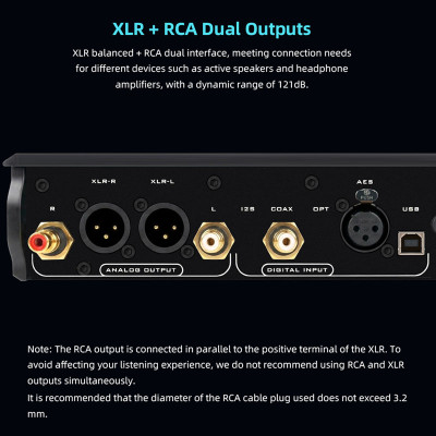 MUSICIAN PEGASUS III R2R DAC