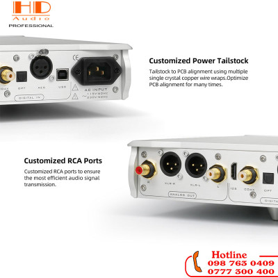 MUSICIAN PEGASUS II R2R DAC