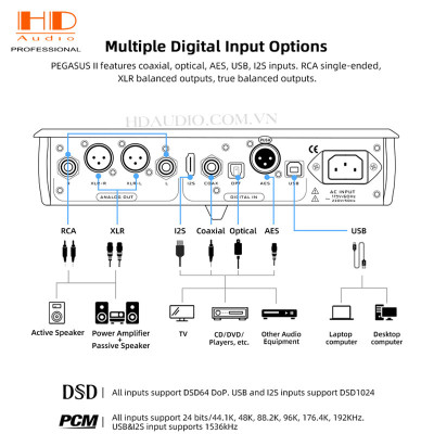 MUSICIAN PEGASUS II R2R DAC