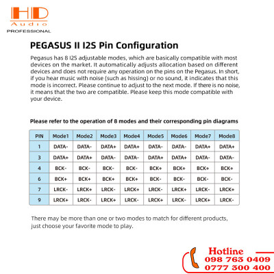 MUSICIAN PEGASUS II R2R DAC