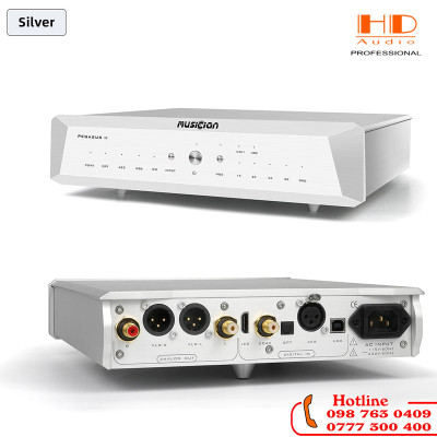 MUSICIAN PEGASUS II R2R DAC