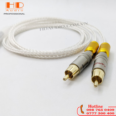 Dây AV Mạ Bạc Có Cục Chống Nhiễu Xangsane - Chống Nhiễu Cực Tốt