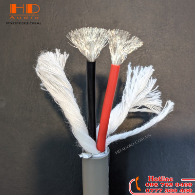 Dây Loa Lõi Bạc XCCSEE