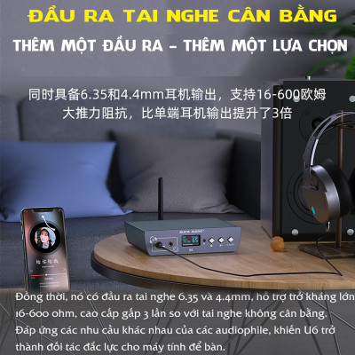 Giải Mã DAC SUCA U6