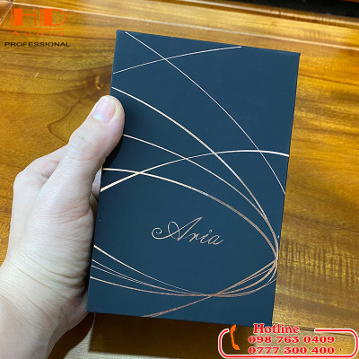 Tai nghe Moondrop New Aria