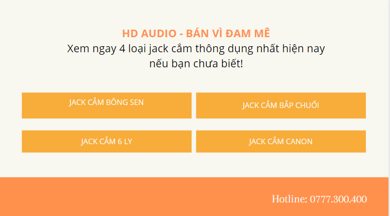 4-loai-jack-cam-thong-dung-nhat-hien-nay